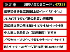 ܥǥζ̸饹ƥ󥰤⾵äƤޤϿΤǣϣˡ 2