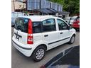 FIAT NEW PANDA