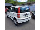 FIAT NEW PANDA