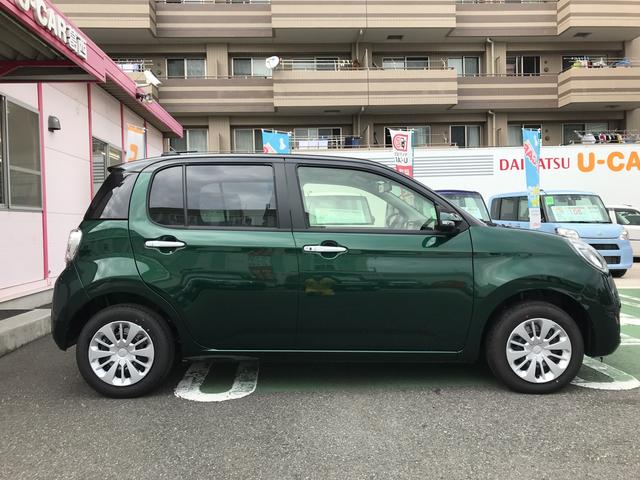 シルク SAIII(4枚目)