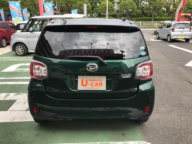 シルク SAIII(6枚目)