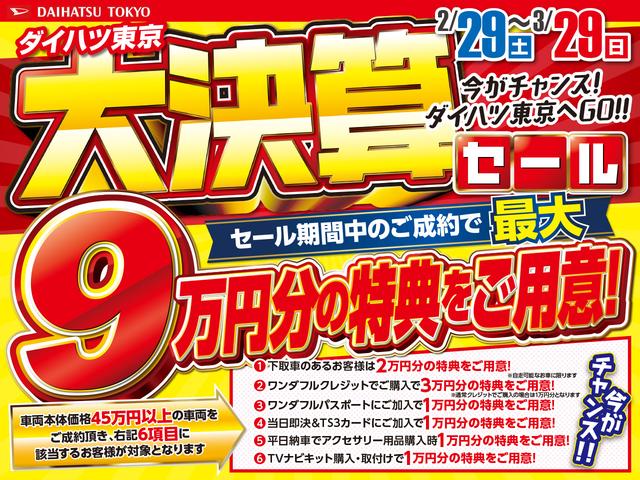 シルク Gパッケージ SAIII 衝突軽減ブレーキ(2枚目)