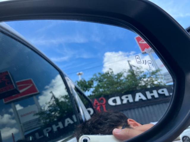 アルファード 2.5S タイプゴールド 後席モニター デジタルインナーミラー ディスプレイオーディオ レーダークルコン フルセグ バックカメラ 両側電動スライドドア 電動リアゲート CD/DVDデッキ ハーフレザ AC100V電源 ETC(58枚目)