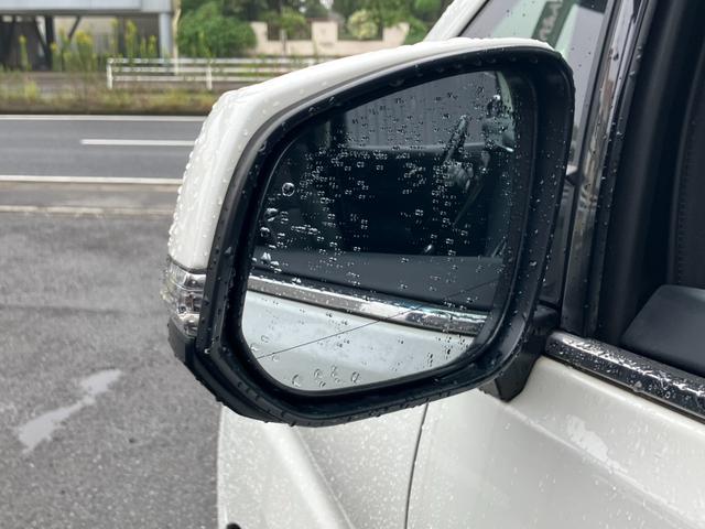 ヴェルファイア 2.5Z Gエディション サンルーフ 黒革シート 純正大型後席モニター 純正10型ナビ バックカメラ レーダークルコン プリクラッシュセーフティー 両側パワスラ シートヒーター パワーバックドア AC100V電源 ETC(61枚目)