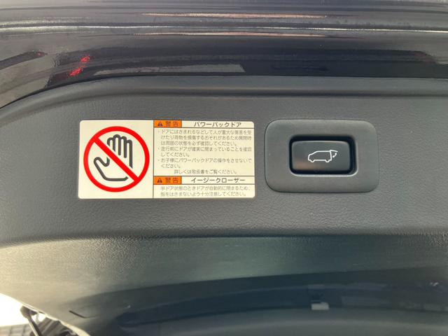 ヴェルファイア ２．５Ｚ　Ａエディション　ゴールデンアイズ　大型後席モニター　純正１０型ナビ　両側パワスラ　バックカメラ　レーダークルコン　プリクラッシュセーフティー　ＡＣ１００Ｖ電源　パワーバックドア　ドラレコ　専用ハーフレザーシート　フルセグＴＶ　ＥＴＣ（28枚目）