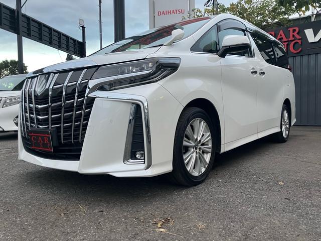 アルファード ２．５Ｓ　Ａパッケージ　（８３）純正大型ナビ　フルセグＴＶ　バックカメラ　両側電動スライドドア　レーダークルコン　ＴＶキャンセラー　ビルトインＥＴＣ　寒冷地仕様　アイドリングストップ　純正１８ＡＷ　衝突軽減ブレーキ（49枚目）