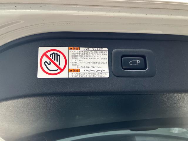 アルファード ２．５Ｓ　Ｃパッケージ　（１３７）サンルーフ　アルパイン後席モニター＆１０型ナビ　黒革シート　デジタルインナーミラー　フルセグＴＶ　バックカメラ　両側電動スライドドア　電動リアゲート　レーダークルコン　シートエアコン　ＥＴＣ（31枚目）