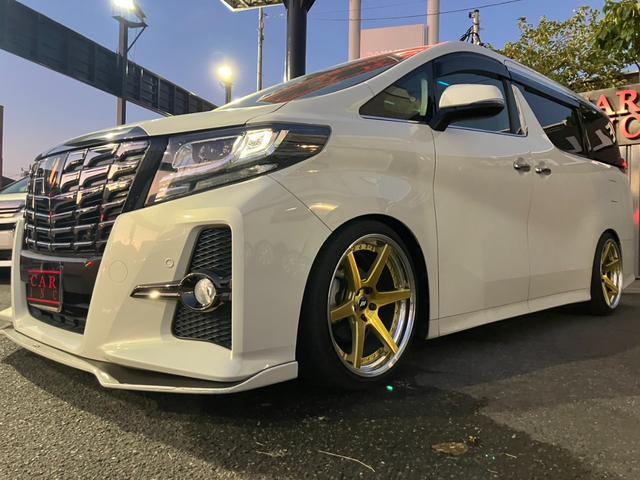 アルファード ２．５Ｓ　Ａパッケージ　タイプブラック　（７３）ワンオーナー　アルパイン後席モニター＆１０型ナビ　フルセグＴＶ　バックカメラ　レーダークルコン　両側電動スライドドア　電動リアゲート　ハーフレザーシート　社外２０ＡＷ　ＨＤＭＩ　ＥＴＣ（45枚目）