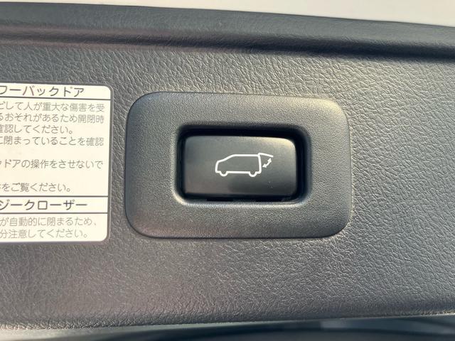 アルファード ２．５Ｓ　タイプゴールド　（１１７）後席モニター　フルセグＴＶ　バックカメラ　ＣＤ／ＤＶＤデッキ　ディスプレイオーディオ　三眼ＬＥＤヘッドライト　両側電動スライド　電動リアゲート　ＡＣ１００Ｖ　ハーフレザー　レーダークルコン（29枚目）