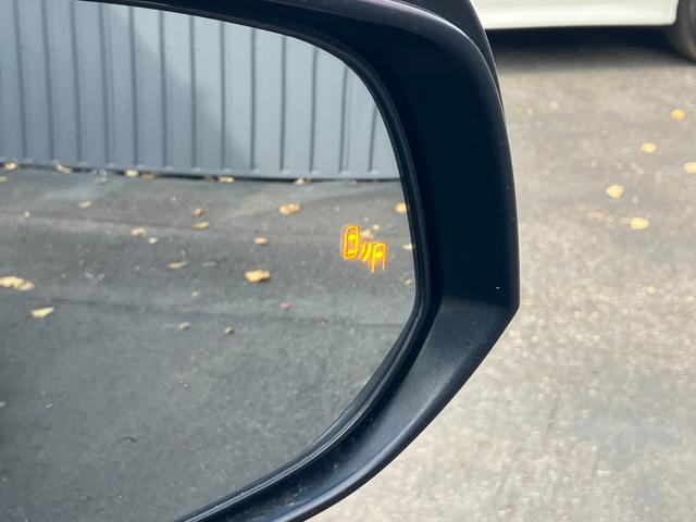 アルファード 2.5S タイプゴールド デジタルインナーミラー BSM 両側パワスラ パワーバックドア AC100V電源 プリクラッシュセーフティ レーダークルコン 3眼ヘッドライト TVキャンセラー 専用ハーフレザー ETC(10枚目)