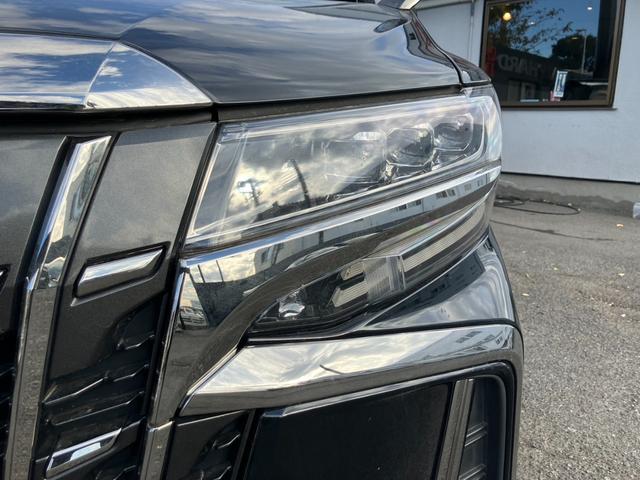 アルファード 2.5S タイプゴールド 純正大型後席モニター BSM デジタルインナーミラー 両側パワースライドドア レーダークルコン プリクラッシュセーフティー パワーバックドア LEDヘッドライト ハーフレザーシート ETC(48枚目)