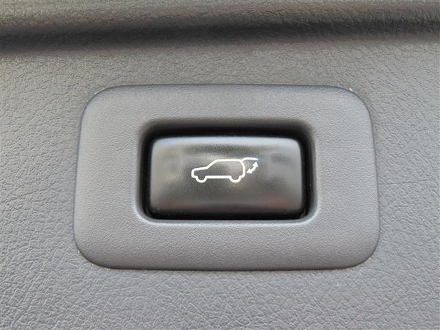 アルファードハイブリッド ＳＲ　プレミアムシートパッケージ　ＨＤＤナビ　ＤＶＤ再生　ナビ＆ＴＶ　ミュージックプレイヤー接続可　両側電動ドア　本革シート　１００Ｖ電源　スマートキー　バックカメラ　ＥＴＣ　４ＷＤ　オートクルーズ　ダブルサンルーフ　地デジ（25枚目）