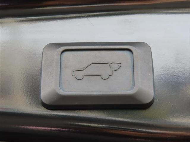 RAV4 アドベンチャー オフロードパッケージ 黒革シート 100V電源 パワーウインドウ AAC アルミホイール キーフリー LEDランプ クルコン スマートキ ミュージックプレイヤー接続可 メモリナビ 運転席パワーシート 地デジ 横滑り防止装置(24枚目)