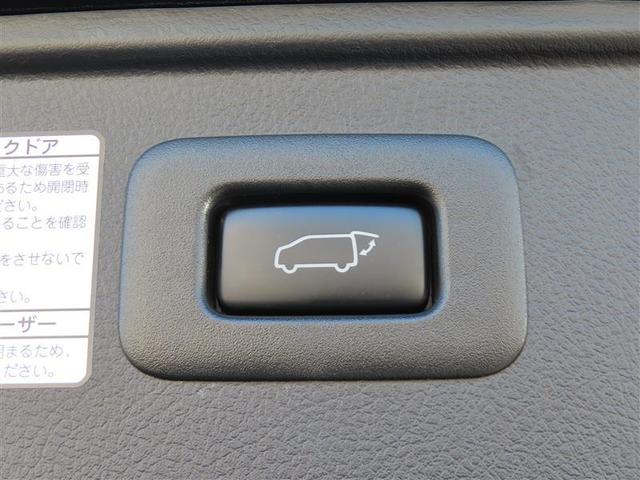 アルファード 2.5S Cパッケージ 両電動ドア 本革 Bモニタ 地デジ DVD再生可能 リアオートエアコン ナビテレビ 横滑り防止 クルコン セキュリティ ETC車載器 LEDヘッドライト スマートキー エアコン パワーステ WエアB(23枚目)