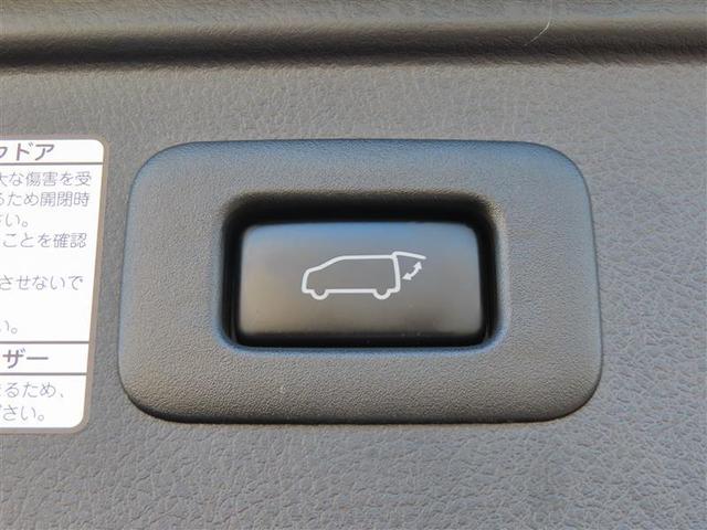 ヴェルファイア ２．５Ｚ　Ｇエディション　後カメラ　ＷＳＲ　本革　フルセグテレビ　パワーシート　スマキー　クルーズコントロール　ＥＴＣ装備　助手席エアバック　運転席エアバッグ　フルフラットシート　アルミホイール　カーテンエアバック　エアコン（24枚目）