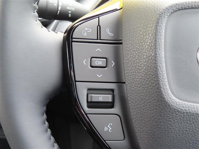 プリウス Z 【雹害車】(9枚目)