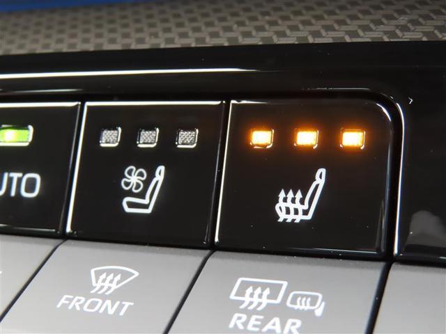 プリウス Z 【雹害車】(24枚目)