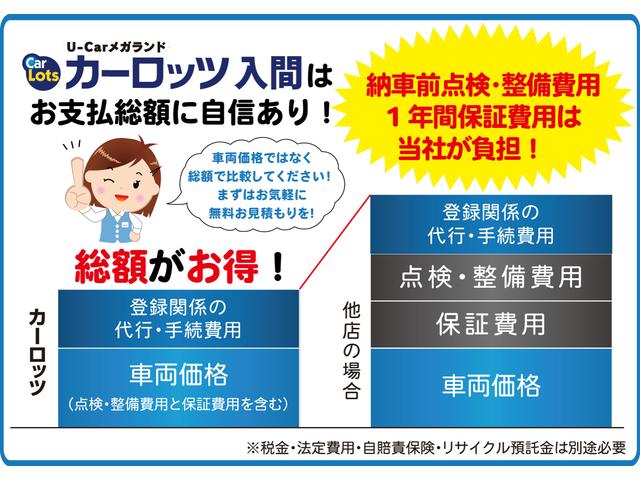 10thアニバーサリーエディション 純正SDナビ 地デジ(8枚目)