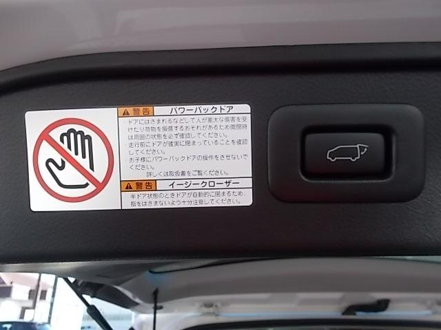 2.5S Cパッケージ ツインムーンルーフ 両側パワースライドドア&バックドア バックカメラ ブラックレザー(32枚目)