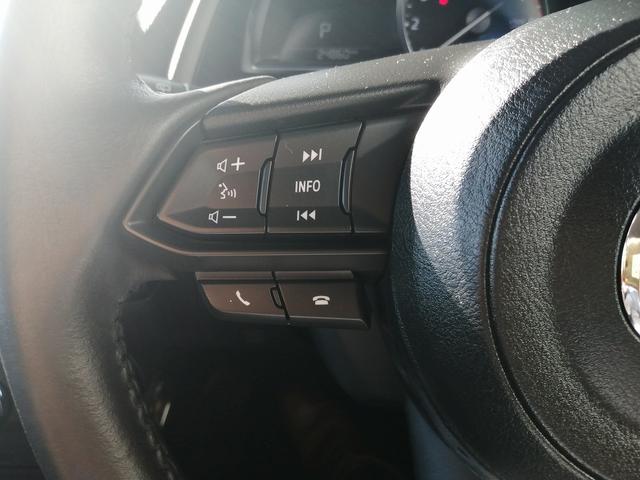ＭＡＺＤＡ２ １５Ｓプロアクティブ　Ｓパッケージ　純正ナビ　フルセグＴＶ　Ｂｌｕｅｔｏｏｔｈ接続　ＣＤ／ＤＶＤ　３６０°ビューモニター　バックカメラ　ブラインドスポットモニター　スマートブレーキサポート　ＥＴＣ　ＬＥＤヘッドライト　スマートキー（64枚目）
