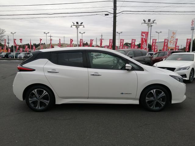 リーフ X Vセレクション(7枚目)