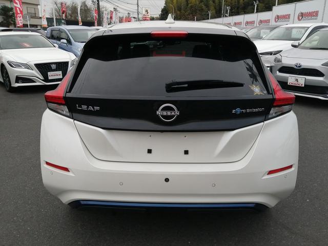 リーフ X Vセレクション(9枚目)