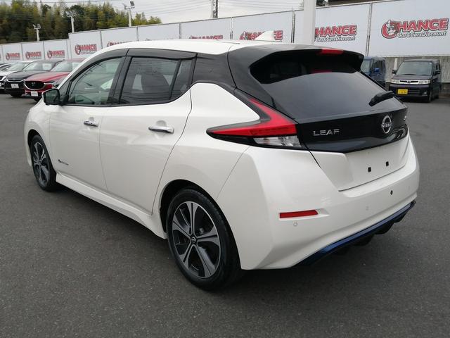 リーフ X Vセレクション(10枚目)