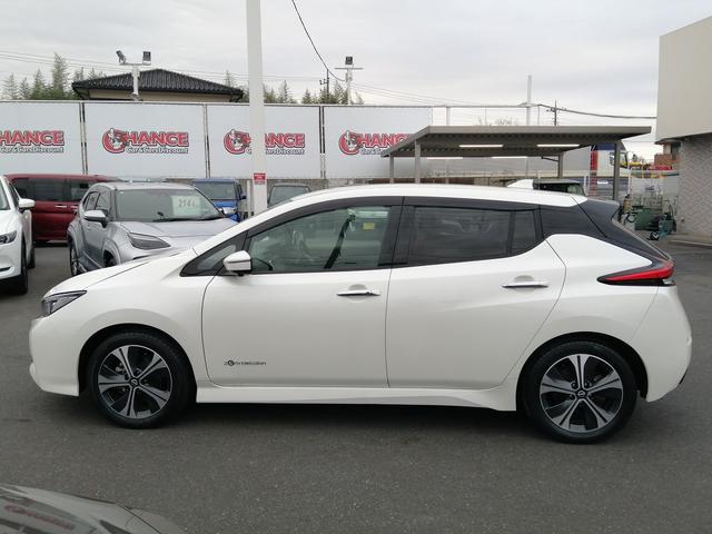 リーフ X Vセレクション(11枚目)