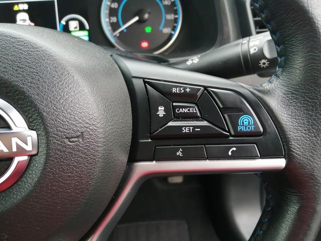 リーフ X Vセレクション(20枚目)