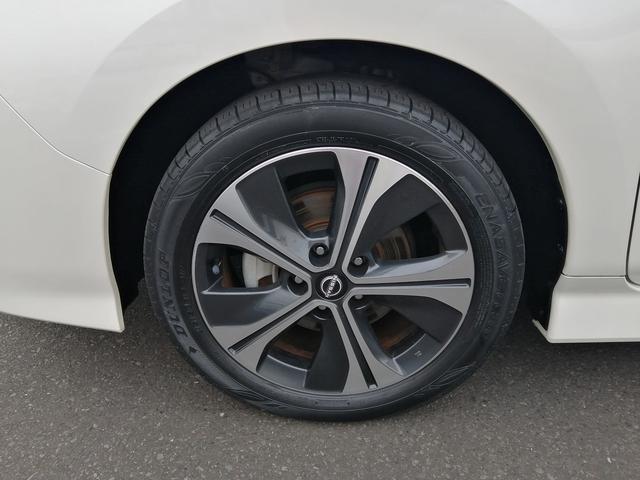 リーフ X Vセレクション(38枚目)