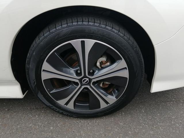 リーフ X Vセレクション(41枚目)