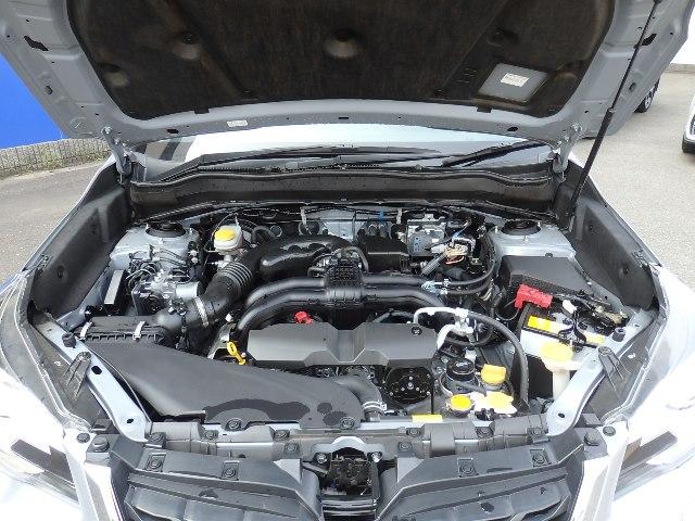 S-Limited EyeSight3 LEDライナー(20枚目)