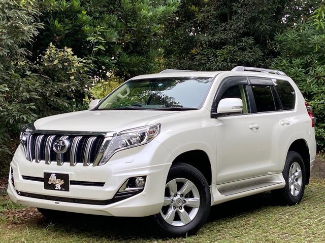 TX Lパッケージ ディーゼル・4WD・サンルーフ・本革・モデリスタエアロ・7人乗り・寒冷地仕様・ユーザー買取・1オーナ・ナビTV・走行中可・BT音楽・B/F/Sカメラ・2.0ETC・3列目電動格納シート・コーナーセンサ(20枚目)