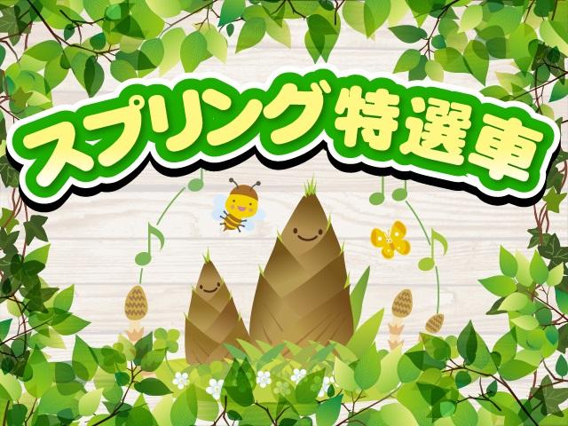 X SAII バックカメラ付き(2枚目)