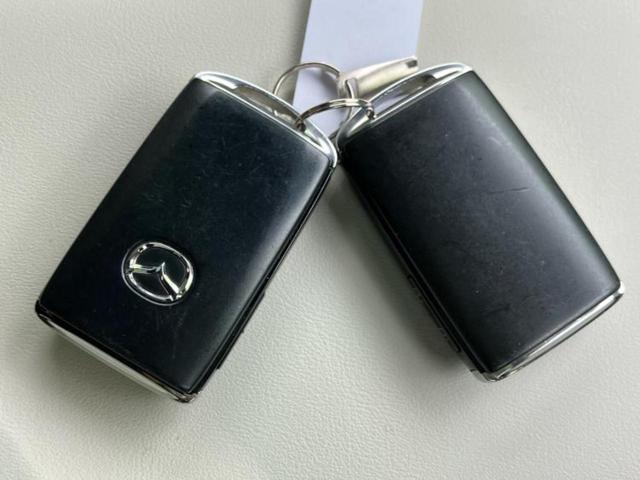 ＭＸ－３０ ヒョウジュン　新品タイヤ／保証書／純正　ＳＤナビ／衝突安全装置／シートヒーター　前席／全方位モニター／車線逸脱防止支援システム／電動バックドア／ヘッドランプ　ＬＥＤ／ＥＴＣ／ＥＢＤ付ＡＢＳ／横滑り防止装置　記録簿（30枚目）