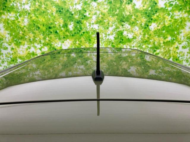 タフト Ｘ　新品タイヤ／保証書／スマートアシスト（トヨタ・ダイハツ）／ＵＳＢジャック／ＡＢＳ／横滑り防止装置／アイドリングストップ／禁煙車／エアバッグ　運転席／エアバッグ　助手席／衝突安全ボディ／オートエアコン（37枚目）