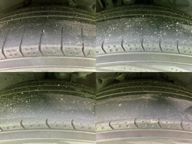 �u���̎Ԃ̎ʐ^�������ƌ������v�u��Ԃ��C�ɂȂ�v�u���̑����͂��Ă���H�v�ǂ�ȏ����ȋ^��ł����C�y�ɂ��₢���킹���������I