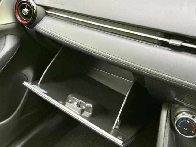 ＣＸ－３ ＸＤ　保証書／純正　ＳＤナビ／衝突安全装置／ドライブレコーダー　前後／ＵＳＢジャック／Ｂｌｕｅｔｏｏｔｈ接続／ＥＴＣ／ＥＢＤ付ＡＢＳ／横滑り防止装置／アイドリングストップ／バックモニター／ワンセグＴＶ（33枚目）