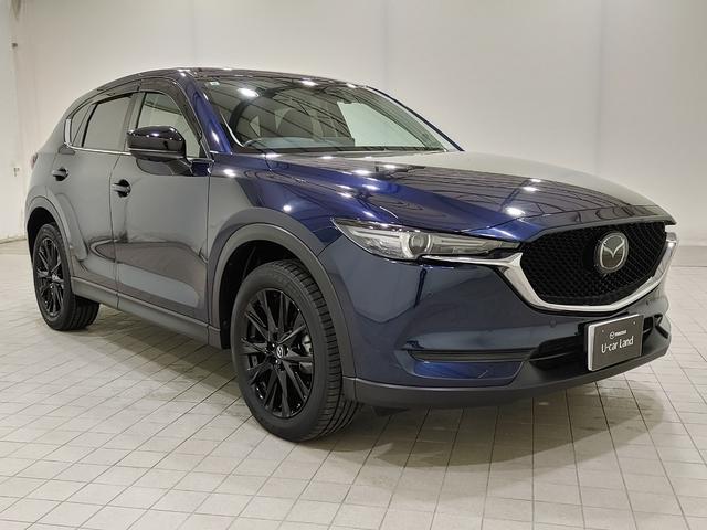 ＣＸ－５ ＸＤ　ブラックトーンエディション　ワンオーナー／フロントドライブレコーダー／防錆アンダーコーティング／１０．２５インチセンターディスプレイ／ＡｐｐｌｅＣａｒＰｌａｙ・ＡｎｄｒｏｉｄＡｕｔｏ／ＥＴＣ／パワーリフトゲート（22枚目）
