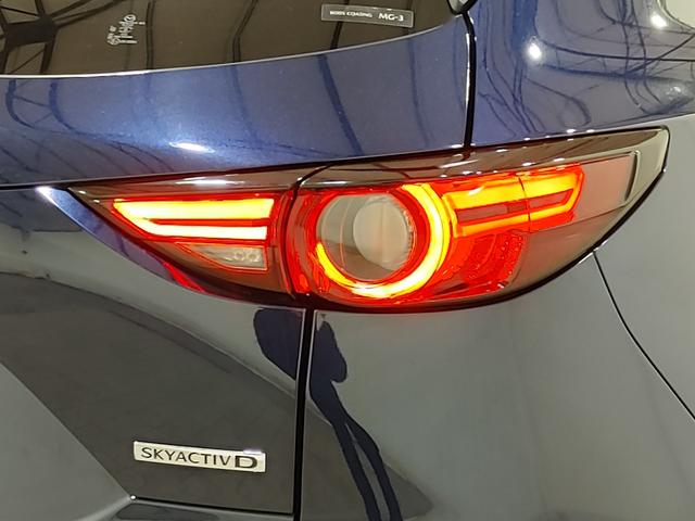 ＣＸ－５ ＸＤ　ブラックトーンエディション　ワンオーナー／フロントドライブレコーダー／防錆アンダーコーティング／１０．２５インチセンターディスプレイ／ＡｐｐｌｅＣａｒＰｌａｙ・ＡｎｄｒｏｉｄＡｕｔｏ／ＥＴＣ／パワーリフトゲート（28枚目）