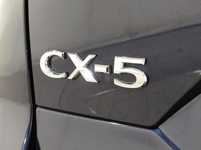 ＣＸ－５ ＸＤ　ブラックトーンエディション　ワンオーナー／フロントドライブレコーダー／防錆アンダーコーティング／１０．２５インチセンターディスプレイ／ＡｐｐｌｅＣａｒＰｌａｙ・ＡｎｄｒｏｉｄＡｕｔｏ／ＥＴＣ／パワーリフトゲート（49枚目）