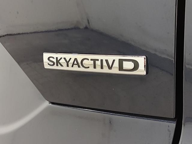 ＣＸ－５ ＸＤ　ブラックトーンエディション　ワンオーナー／フロントドライブレコーダー／防錆アンダーコーティング／１０．２５インチセンターディスプレイ／ＡｐｐｌｅＣａｒＰｌａｙ・ＡｎｄｒｏｉｄＡｕｔｏ／ＥＴＣ／パワーリフトゲート（50枚目）