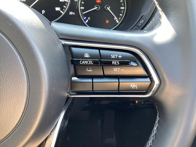 CX-80 XD Sパッケージ ワンオーナー/2カメラドライブレコーダー/オールウェザーマット/10.25インチセンターディスプレイ/運転席・助手席シートヒーター/ステアリングヒーター(52枚目)