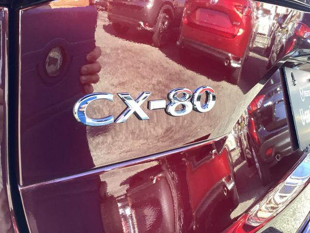 CX-80 XD Sパッケージ ワンオーナー/2カメラドライブレコーダー/オールウェザーマット/10.25インチセンターディスプレイ/運転席・助手席シートヒーター/ステアリングヒーター(65枚目)