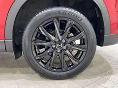 ����������Υ���ߥۥ���������Ϥ��������ޤ��� 7