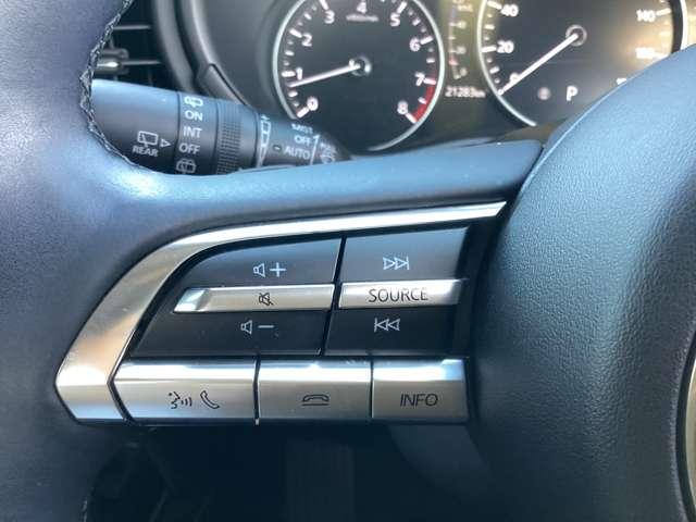 CX-30 2.0 20S プロアクティブ ツーリングセレクション ブラックレザーパッケージ 前後ドラレコ 衝突軽減装置 前席シートヒーター オートエアコン 地デジ ナビ&TV Pシート キーレス LEDヘッド 盗難防止システム スマートキー アイドリングストップ(15枚目)