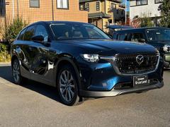 ��ư�ǥ�����Ǻ��夲��줿ή��Ū��̥��Ū�ʥܥǥ��饤�� 4