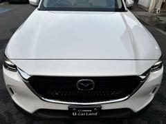 �ޥĥ��ΰ����������ؤ��᤭������줿¸�ߴ��Τ������̤Υǥ����� 2