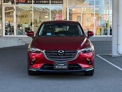 �ޥĥ��ΰ����������ؤ��᤭������줿¸�ߴ��Τ������̤Υǥ����� 2