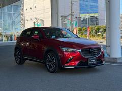 ��ư�ǥ�����Ǻ��夲��줿ή��Ū��̥��Ū�ʥܥǥ��饤�� 3